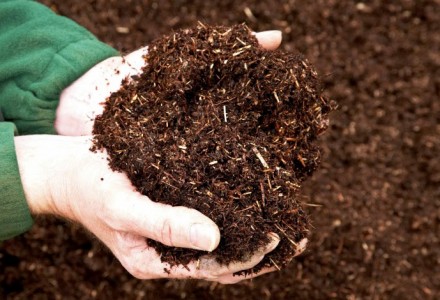 Phân hữu cơ và những điều bạn cần biết